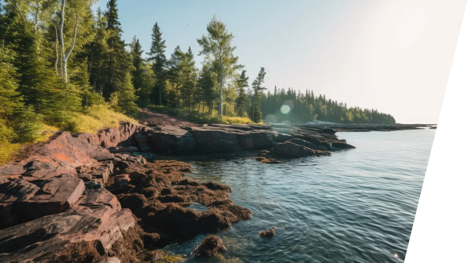 Environment