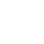 usa-new2-icon